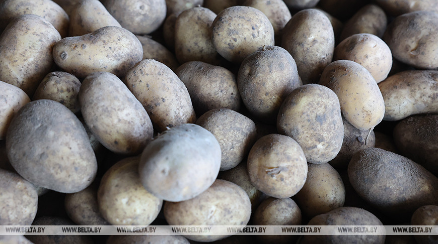 Фото из архива