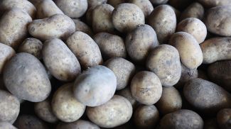 Фото из архива