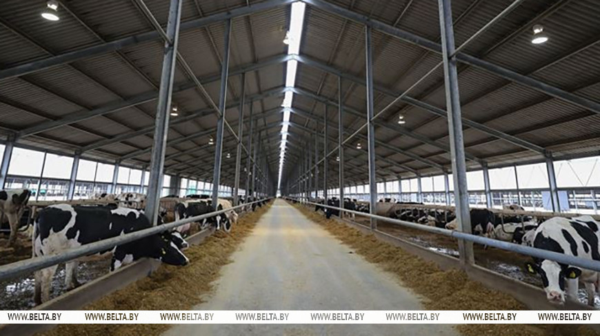 Фото из архива