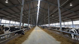 Фото из архива