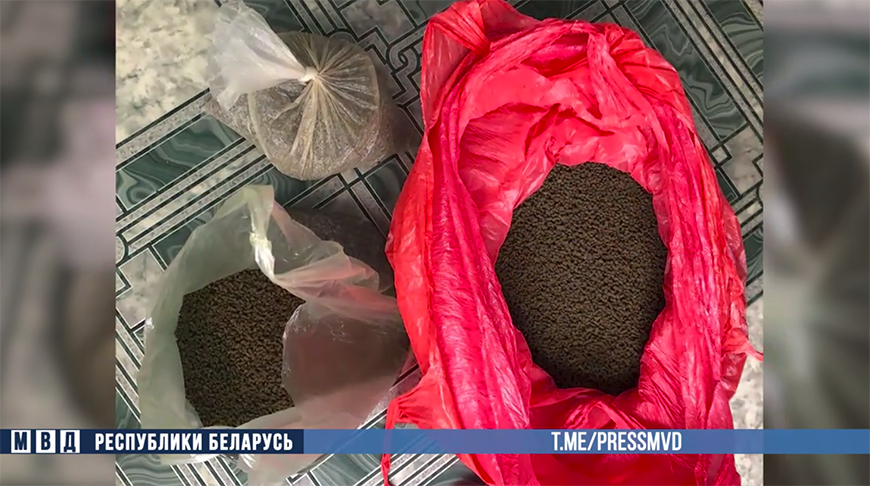 Скриншот видео МВД