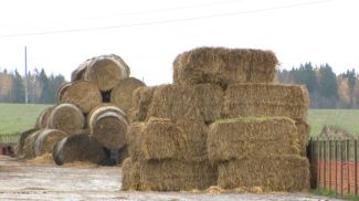 Фото Генпрокуратуры