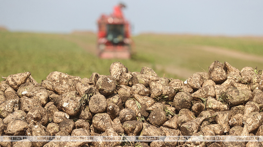 Фото из архива