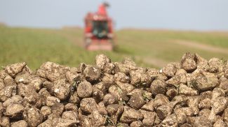 Фото из архива