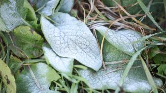 Фото из архива