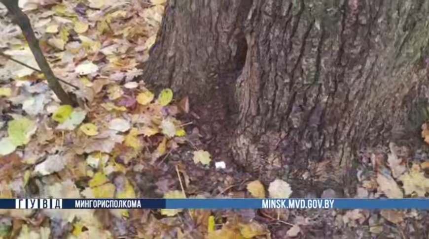 Скриншот видео ГУВД Мингорисполкома