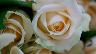 Фото из архива