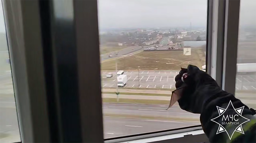 Скриншот видео МЧС