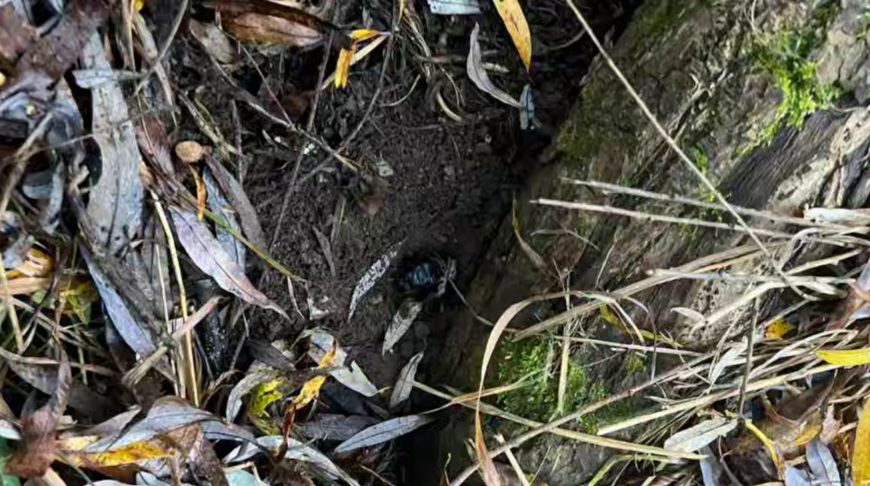 Фото ГУВД Мингорисполкома