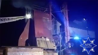 Скриншот видео МЧС