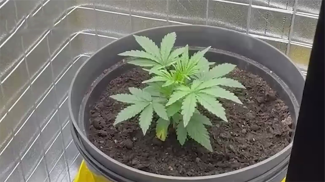 Фото УВД Могилевского облисполкома