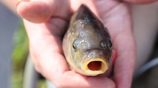 Фото из архива