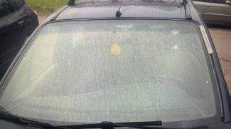 Фото УВД Гродненского облисполкома