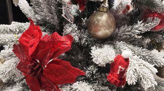 Фото из архива