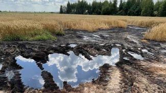 Фото прокуратуры Калинковичского района