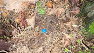 Скриншот видео УВД Гродненского облисполкома