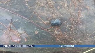 Скриншот видео МВД