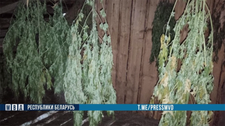 Скриншот видео МВД