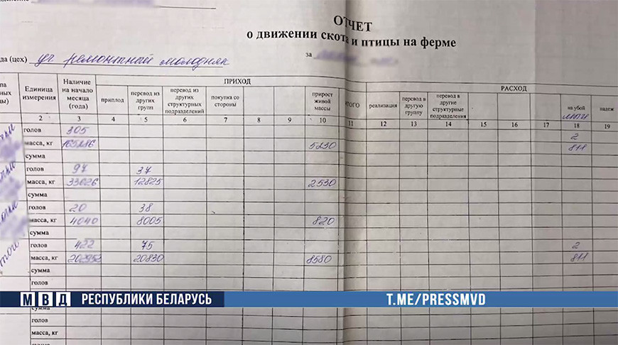 Скриншот видео МВД