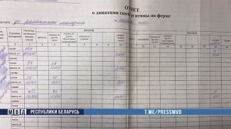 Скриншот видео МВД