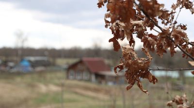 Фото из архива