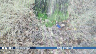 Скриншот видео МВД