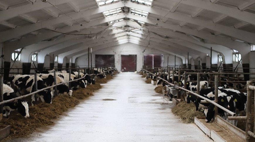 Фото Минсельхозпрода