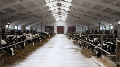 Фото Минсельхозпрода