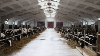 Фото Минсельхозпрода