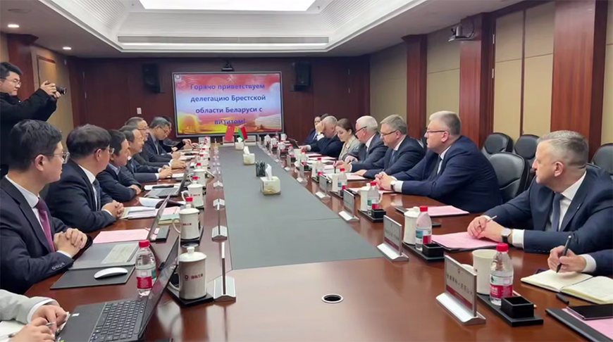 Скриншот видео Брестского облисполкома