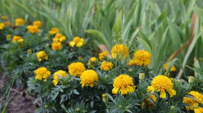 Фото из архива