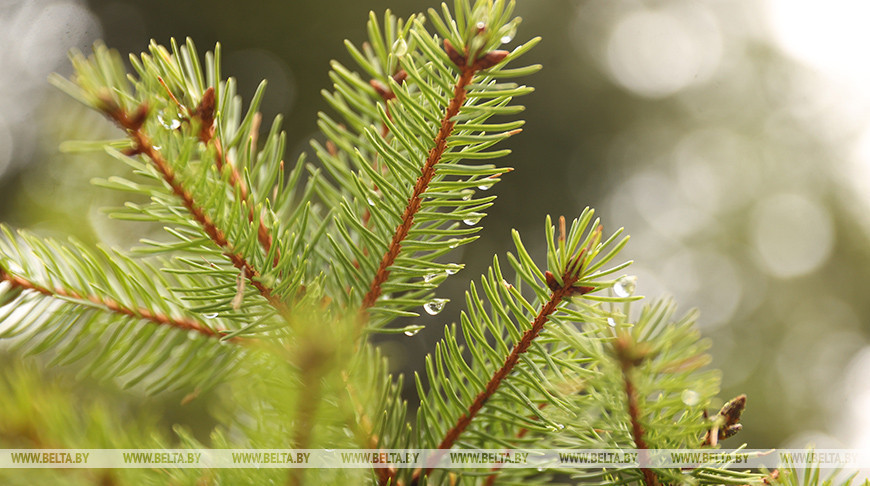 Фото из архива