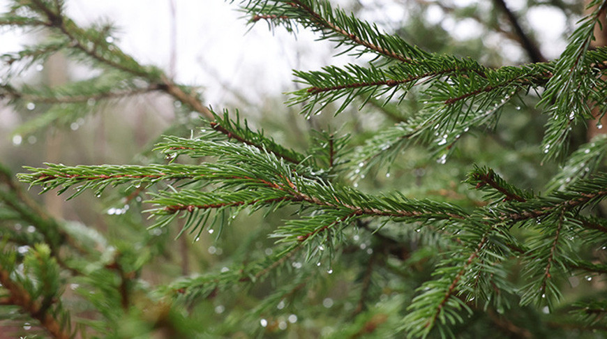 Фото из архива