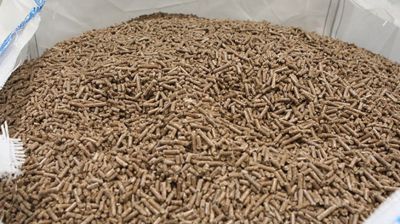 Фото из архива