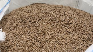 Фото из архива