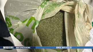 Скриншот видео МВД