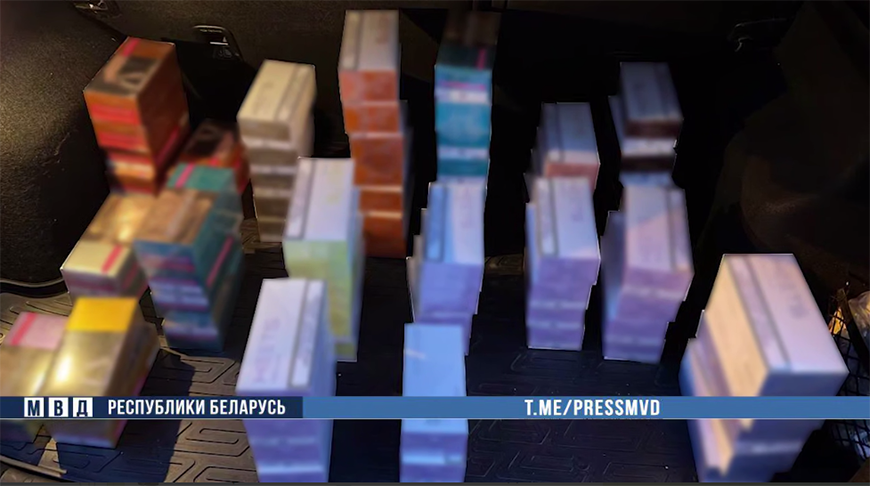 Скриншот видео МВД