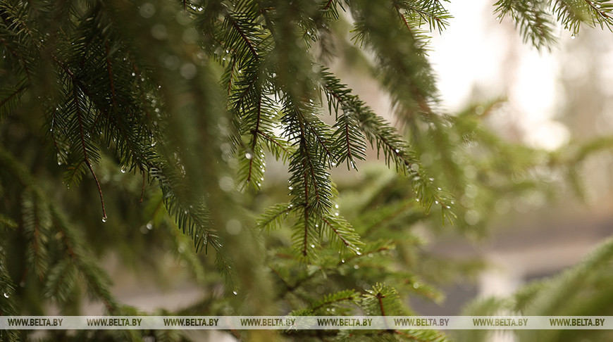 Фото из архива