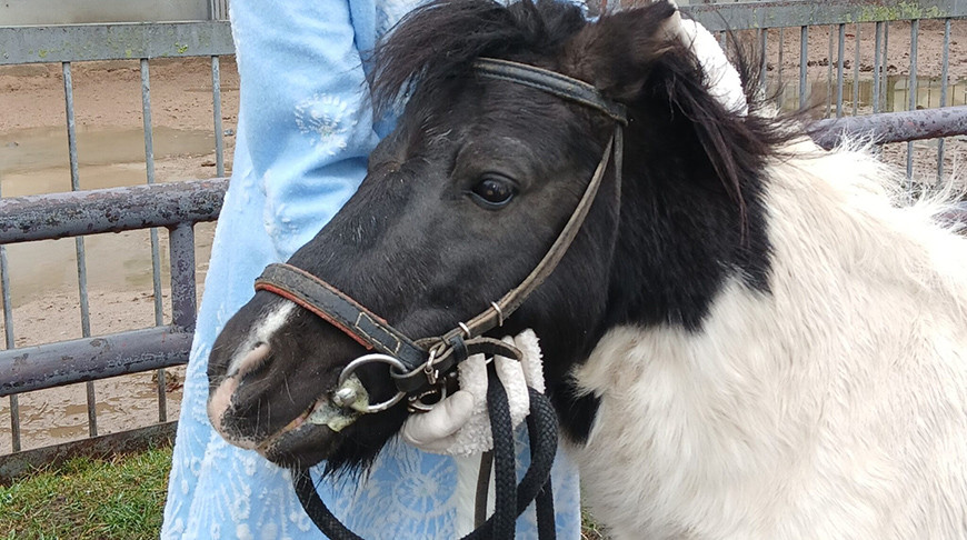 Фото grodnozoo.by