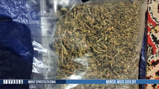 Скриншот видео ГУВД Мингорисполкома