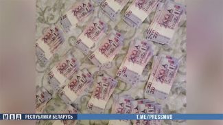 Скриншот видео МВД