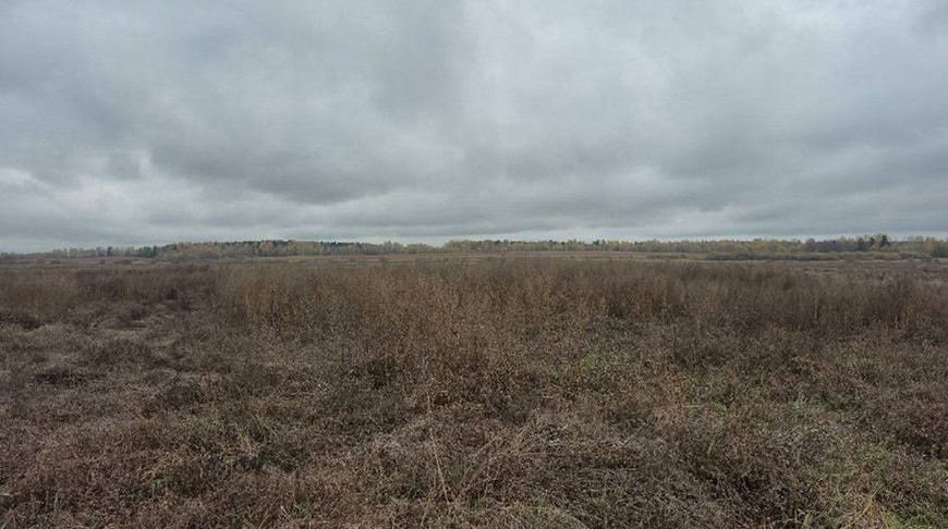 Фото прокуратуры Могилевского района