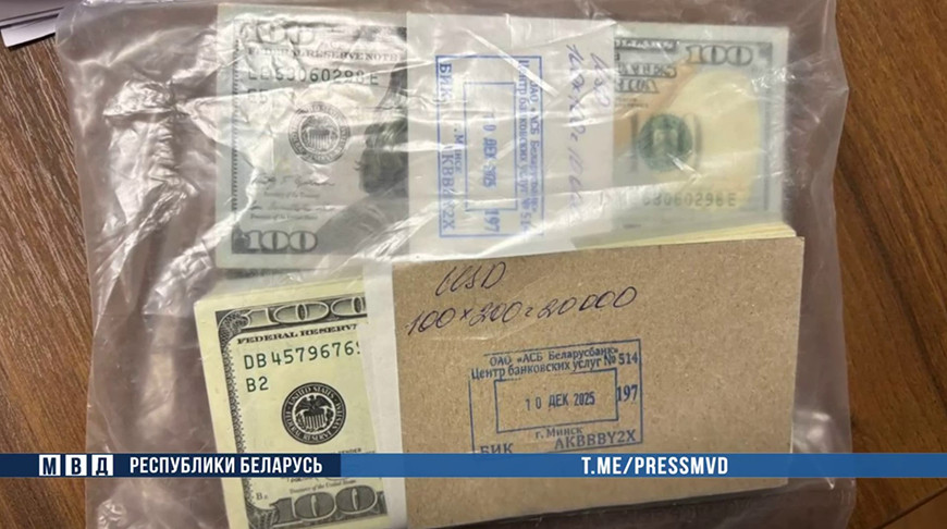 Скриншот видео МВД