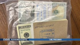 Скриншот видео МВД