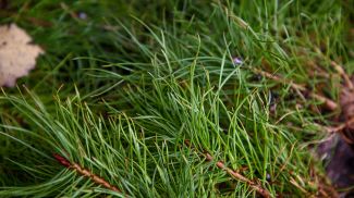 Фото из архива