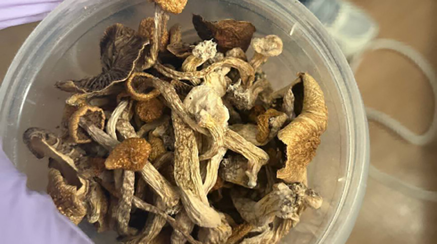 Фото УВД Брестского облисполкома