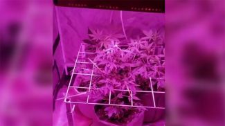 Фото ГУВД Мингорисполкома