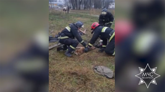 Скриншот видео МЧС