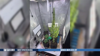 Скриншот видео МВД