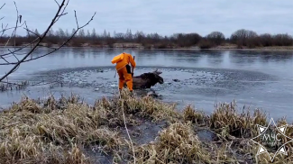 Скриншот видео МЧС